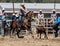 Calf Roping