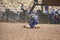 Calf roping competition, Inter-Tribal Ceremonial Indian Rodeo, Gallup NM