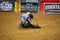 Calf roping competition in the Stockyards Championship Rodeo