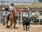 Calf Roping Cowgirl Throws a Loop