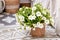 Calibrachoa plant with white flowers