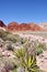 Calico Basin, Red Rock Conservation Area, Southern Nevada, USA