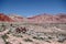 Calico Basin, Red Rock Conservation Area, Southern Nevada, USA