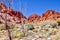 Calico Basin, Red Rock Conservation Area, Southern Nevada, USA