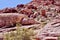 Calico Basin, Red Rock Conservation Area, Southern Nevada, USA