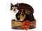 Calico cat inside brown gift box