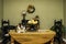 Calico cat sitting on dining room table