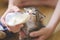 Calico kitten with baby blue eyes, held and nursed by a young woman