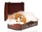 Calico Persian cat peeping out of brown suitcase