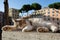 Calico shelter cat sleeping outdoors at Largo di Torre Argentina, Rome