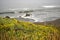 California Beach with Yellow Flowers on Cliff at Westport Union Landing