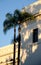 California bell tower and dome at the entrance of Balboa park -