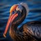 California Brown Pelican  Made With Generative AI illustration