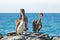 California Brown Pelicans perching on rocky outcrop at Cerritos Beach at Punta Lobos in Baja California Mexico