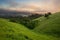 California Chaparral at Sunset