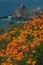 California Coast in Spring with golden poppies blooming near Big Sur California 