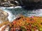 California Coastal Rocks and Cliffs, small inlet along the coast with pink and green sea plants - Road Trip down Highway 1