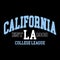 California college league design typography, vector design text illustration, sign, t shirt graphics, print