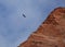 A california condor circling above the red sandstone cliffs of Zion National park Utah blue sky and clouds in the background