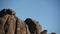 California Condors Lazily Soar Around Pinnacles