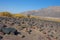 California, Death Valley National Park, The Stone Desert