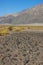 California, Death Valley National Park, The Stone Desert