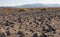 California, Death Valley National Park, The Stone Desert