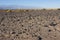 California, Death Valley National Park, The Stone Desert