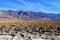 California, Death Valley:  View towards the Amargosa Range from the Basin