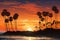 California dream Santa Barbara palm trees in a captivating sunset