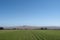 California farm scene