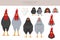 California Grey Chicken breeds clipart. Poultry and farm animals. Different colors set