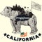 California hand drawn poster with bear