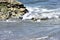 California Harbor Seal, Phoca Vitulina Richardii, 9.