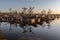 California harbor under gradient morning sky