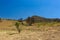 California Hiking Trail With Mountain Landscape