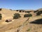 California landscape with a fence and a little red barn