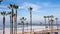 California Oceanside pier with palm trees view