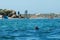 California otter in Morro Bay, California.