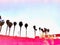California Palm trees Los Angeles pink graphic watercolor background