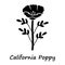 California poppy glyph icon. Papaver rhoeas with name inscription. Corn rose blooming wildflower. Herbaceous plants
