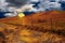 California ranchlands sunset, blue skies billowing clouds and a setting sun casting a golden glow over fields and meadows.