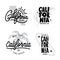 California related t-shirt vintage style graphics set. Vector illustration.