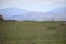 California Scenery - Coyote in Field - Mountains at Ramona Grasslands Wildlife Preserve in Ramona