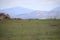 California Scenery - Coyote in Field - Mountains at Ramona Grasslands Wildlife Preserve in Ramona