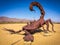 California-The Scorpion