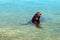 California Sea Lion cooling off in the marina in Cabo San Lucas Baja Mexico