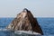 California Sea Lion sunning on the Pinnacle rock of Lands End at Cabo San Lucas Baja Mexico