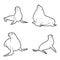 California Sea Lion Vector Illustration Hand Drawn Animal Cartoon Art