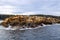 California Sea Lions Pacific Ocean Haida Gwaii Langara Island